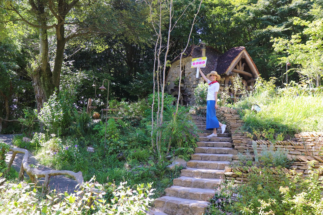 9月10日(火)放送のSBS『Soleいいね!』にぬくもりの森が生中継されまし